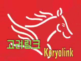 Orascom CEO back in Pyongyang