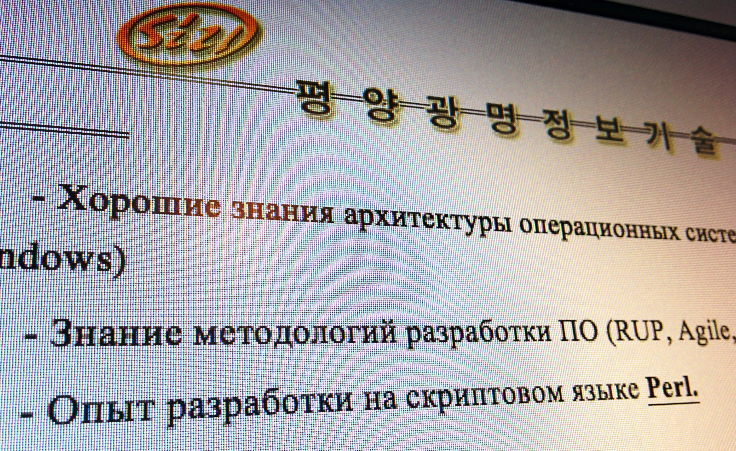 North Korea proposes expanding work with Russian IT companies