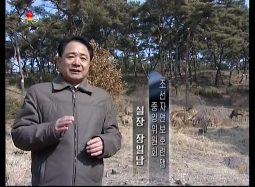 Changes in North Korean TV presentation
