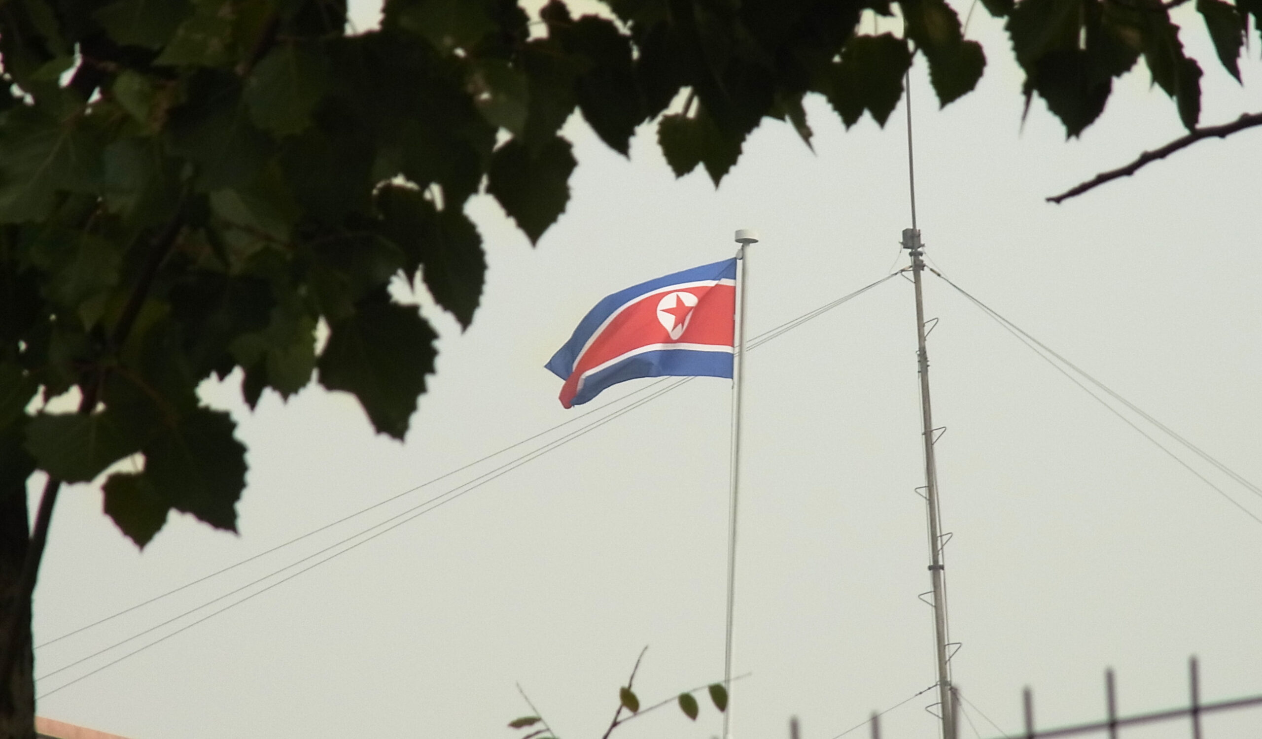 Hundreds of North Korea IT workers abroad earning money for missile, nuclear program, says UN report